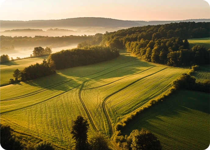 Was wir tun 1 soil health, climate action / Bodengesundheit, Klimaschutz