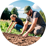 plant nursery, local food / Pflanzenschule, lokale Nahrung