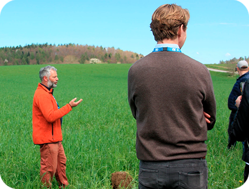 Home 15 no-dig method, urban permaculture / grabenlose Methode, urbane Permakultur