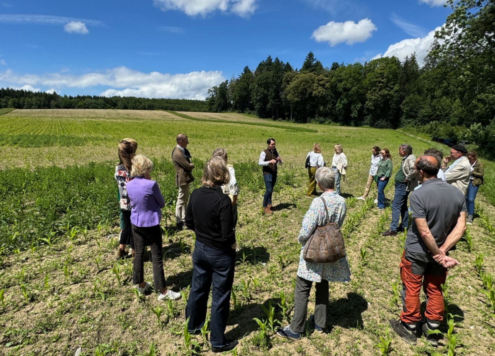 Events 9 Planting native species to support local ecosystems, Anpflanzung einheimischer Arten zur Unterstützung lokaler Ökosysteme